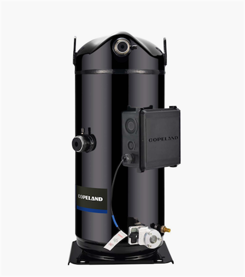 谷輪創新技術賦能中國菌菇種植產業，推動能效升級與可持續進步