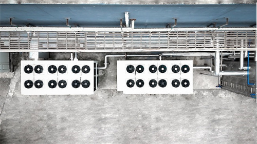 谷輪創新技術賦能中國菌菇種植產業，推動能效升級與可持續進步